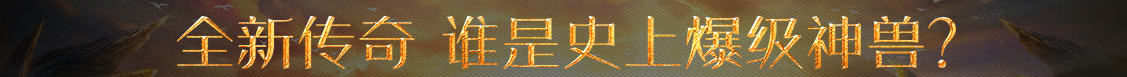环县新闻网